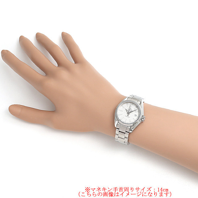 オメガ シーマスター アクアテラ 231.10.30.60.02.001 新品 レディース