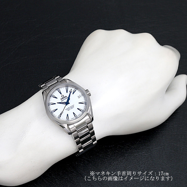 オメガ シーマスター アクアテラ グッドプラネット 231.90.39.21.04.001 新品 メンズ